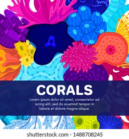 Vector composition of corals. Background with colorful sea or ocean life. Template for cover, invitation, banner, brochure, flyer, label, header. Advertising of water park, aquarium, marine exhibition