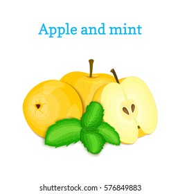 Vector composition of a few yellow apples and mint leaves. Fresh apple fruits appetizing looking. Group of tasty ripe apple with pepper mint leaf packaging design of juice breakfast healthy vegan food