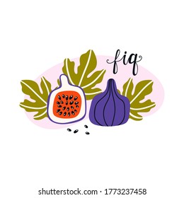 Vector composition of fig fruits,  leaves and pink spot isolated on a white background. Decorative black lettering "Fig". The bright flat multi colored illustration is drawn by hand.