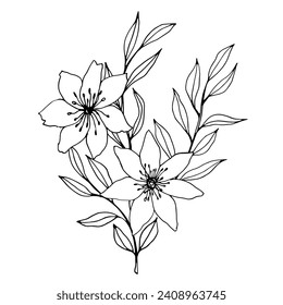 vector composition with flower, leaves and branch. Elegant art for decoration. ink hand drawing monochrome botanical illustration for backgrounds. Template for wedding cards, polygraph, logo, tattoo