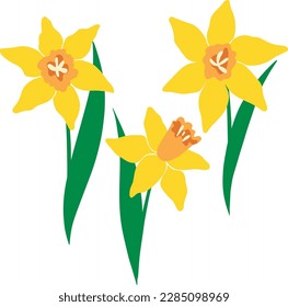 vector composition flowers and leaves narcissus yellow