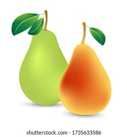 Vector composition of green and red-yellow pears with leaves on a white background. Icon, template or element of your design.