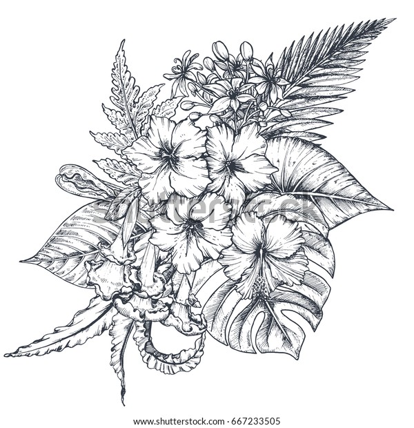 手描きの白黒の熱帯の花 ヤシの葉 ジャングルの植物 パラダイスのブーケのベクター画像 スケッチスタイルの美しい花柄イラスト のベクター画像素材 ロイヤリティフリー