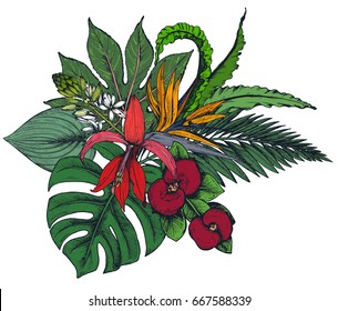 Vector composition of hand drawn colorful tropical flowers, palm leaves, jungle plants, paradise bouquet. Beautiful floral illustration isolated on white background.