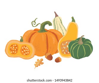 Vector composition of hand drawn pumpkins. Autumn Harvest festival collection. Different kind of pumpkins. 