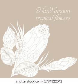Composición vectorial de flores tropicales dibujadas a mano, hojas de palma, plantas de selva, ramo paradisíaco. Ilustración floral en estilo de esbozo. Fondo de verano con flores tropicales para viajar. Aislado