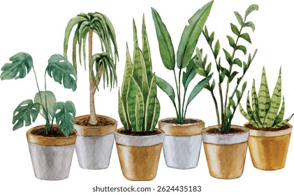 Vector composition indoor flowers. Watercolor illustration. White background. For your design