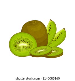 Vector composition with kiwi. Still life with sliced, whole and a half of kiwi fruit.