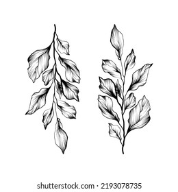 Vector composition of the leaf with blossom. Unique typography poster. Tattoo design