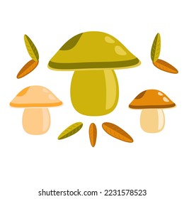 Vector composition of mushrooms and leaves in bright colors
