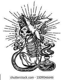 Vector composition with mystical cat skeleton, witch hat and  bottle of potion. Adult coloring book page, tattoo art, t-shirt design