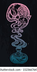 Vector composition with mystical cat skeleton and  bottle of potion, background  chalkboard, t-shirt design