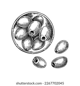 Vektorzusammensetzung mit Oliven in Glasschüssel. Handgezeichnete Olive Obstgrafik in Gravur. Skizzen gesunder Lebensmittelzutaten einzeln auf weißem Hintergrund. für Verpackungen oder Druckgestaltung