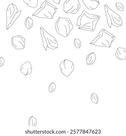 Vector composition with peonies and roses petals graphic line art