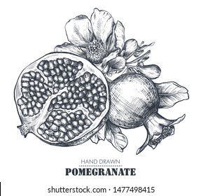 Vector composition of pomegranate fruits, flowers, branches. Hand drawn black and white illustration in sketch style. Engraved juicy natural fruit. Cosmetic design, medicine, package, skincare.