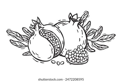 Vector composition of pomegranate fruits with seeds and leaves. Botanical black and white illustration, hand drawn in linocut style. Drawing for design of packaging, menus, recipes, postcards