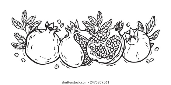 Vector composition of pomegranate halves with seeds and leaves. Botanical black and white illustration, hand drawn in linocut style. Drawing for design of packaging, menus, recipes, postcards