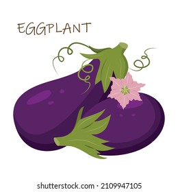 Vector composition of ripe eggplants. Eggplant for the farmer's market, a design element.
