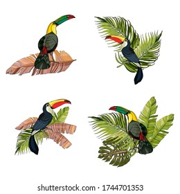 Vector composition of toucan and palm branches. Hand drawing coloring book for children and adults. Beautiful drawings. art print for travel and leisure, fashion, spa and wellness, weddings