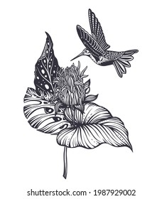 Vector composition with tropical flowers, hummingbird, jungle palm, exotic leaves. Black and white hand drawn nature floral illustration