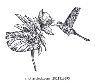 Composición vectorial con flores tropicales, colibrí, palma de selva, hojas exóticas. Ilustración floral de la naturaleza dibujada a mano en blanco y negro