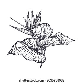 Vector composition with tropical flowers, hummingbird, jungle palm, exotic leaves. Black and white hand drawn nature floral illustration