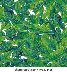 Vector composition of tropical palm leaves seamless pattern. Print summer beautiful beach wallpaper