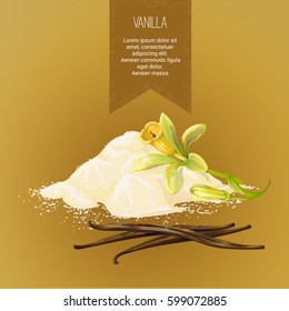 Vector composition of vanilla powder, vanilla sticks, and flower with buds. Label for promotional products. Done in a realistic style, isolated objects on a white background.