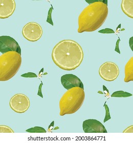  vector compositions from lemon.  Lemon plants on a blue background.