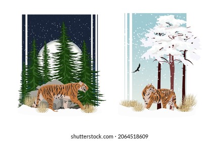 Vector compositions with realistic tiger Panthera tigris in winter. The tiger walks through the snow past the fir trees and the big moon. The tiger is standing in the snow near the pine trees. 2022