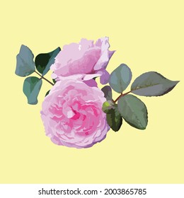  vector compositions from Rose.  Rose plants on a yellow background.