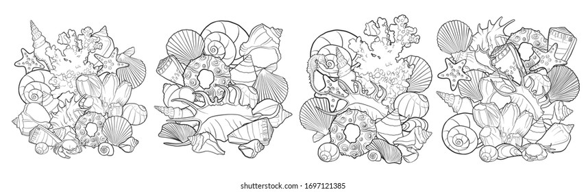 vector compositions with seashells , hand drawn illustration, sea composition