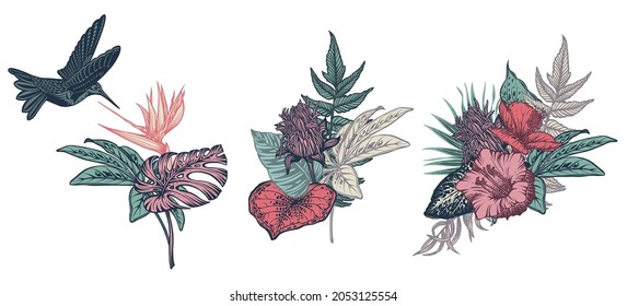 Vector compositions with tropical flowers, hummingbird, jungle palm, exotic leaves.