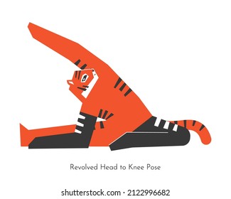 Vector concept with animal cartoon character learning twist yoga practice - Parivrtta Janu Sirsasana. Chinese tiger does Revolved Head to Knee Pose. Flat illustration of seated fitness exercise