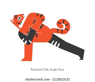 Vector concept with animal cartoon character learning twist yoga practice - Parivrtta Parsvakonasana. Bengal tiger does Revolved Side Angle Pose. Flat illustration of strengthening fitness exercise