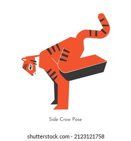 Vector concept with animal cartoon character learning yoga practice - Parsva Bakasana. Malayan tiger does Side Crane (Crow) Pose. Flat illustration of arm balancing fitness training