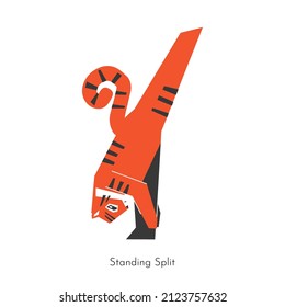 Vector concept with animal cartoon character learning core yoga practice - Urdhva Prasarita Eka Padasana. Korean tiger does Standing Split. Flat illustration of fitness training with forward bend