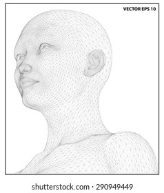 Vector concept or conceptual 3D wire frame human female head isolated on white background