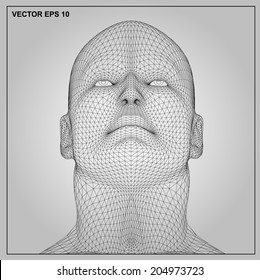 Vector concept or conceptual 3D wireframe human male or man head isolated on gray background 