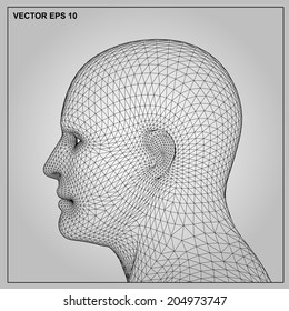 Vector concept or conceptual 3D wireframe human male or man head isolated on gray background 