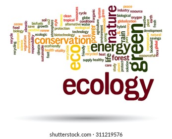 Vector concept or conceptual abstract green ecology and conservation word cloud text on white background, metaphor to environment, recycle, earth, alternative, protection, energy, eco friendly or bio