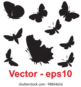 Vector concept or conceptual group,set or collection of black shapes or silhouettes of insects or butterfly isolated on white background for symbol,tattoo,fly,wing,summer,spring,decoration or ornament