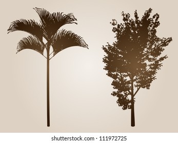 Vector concept or conceptual set of old,vintage and grungy brown trees isolated on a beige background, ideal for grunge,season,natural,summer or autumn designs.A collection of ancient silhouettes