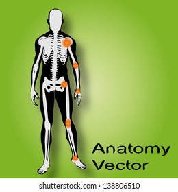 Vector concept or conceptual white and black man anatomy illustration on green background for medical,medicine,health,rheumatism,osteoporosis,muscle,ache,arthritis,inflammation,painful or bones design