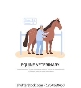 vector concept, equine veterinary illustration, doctor examining horse in clinic, hospital for sport horses