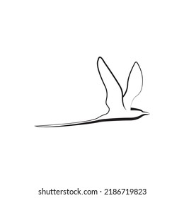 vector concept flying bird illustration.