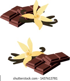Vector concept food art set milk dark chocolate slices and vanilla sticks beans with vanilla flower 