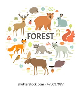 Vector concept with forest animals arranged in a circle. Isolated on white background.