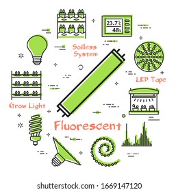 Vector concept of hydroponic and growth led light - fluorescent long lamp bulb