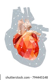 Vector concept illustration of anatomical polygonal human heart